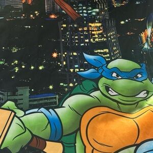 Nickelodeon Teenage Mutant Ninja Turtles Black and Green Tee